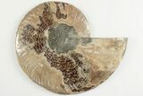 Bargain, 6.4" Cut & Polished Ammonite Fossil (Half) - Madagascar - #200135-1